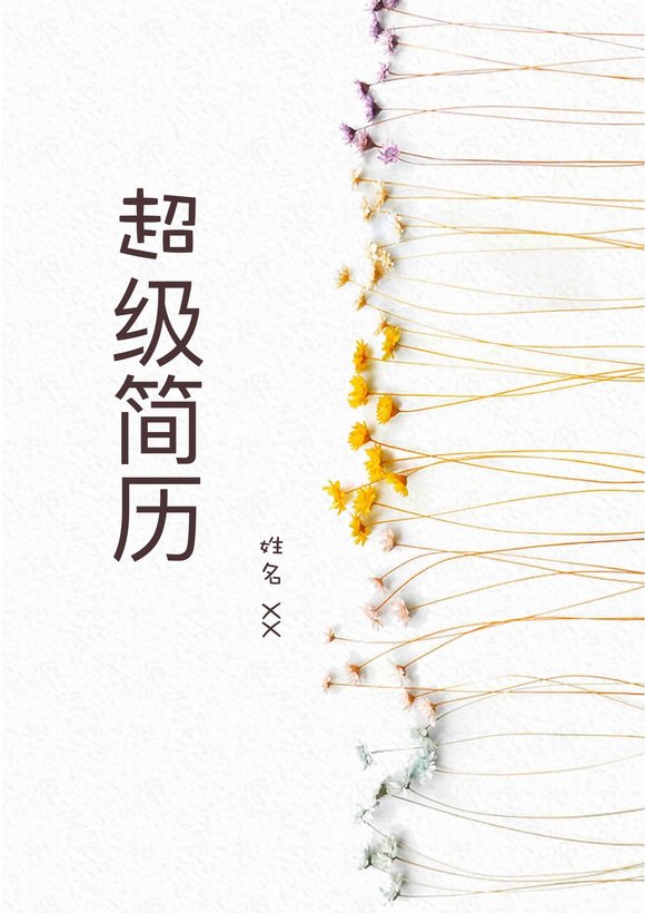 四页简历模板16--超级简历模板预览图