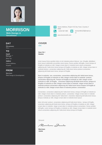 英文简历-单页19