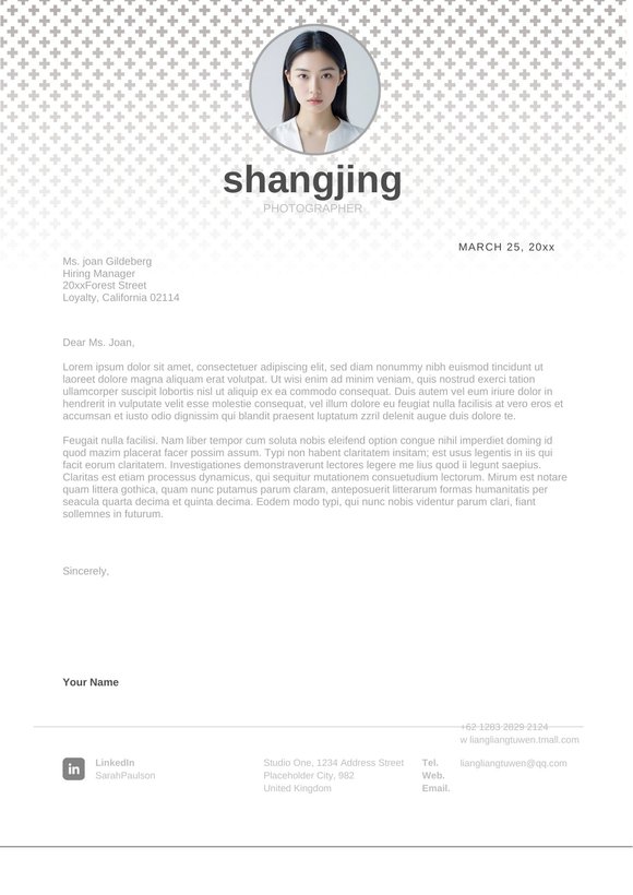 英文简历-双页05预览图