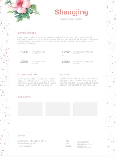 英文简历-双页06