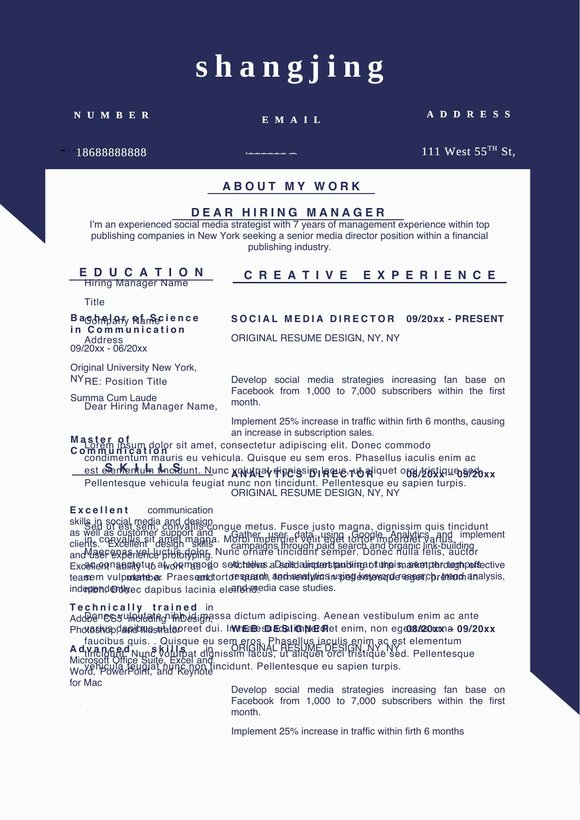 英文简历-双页17预览图