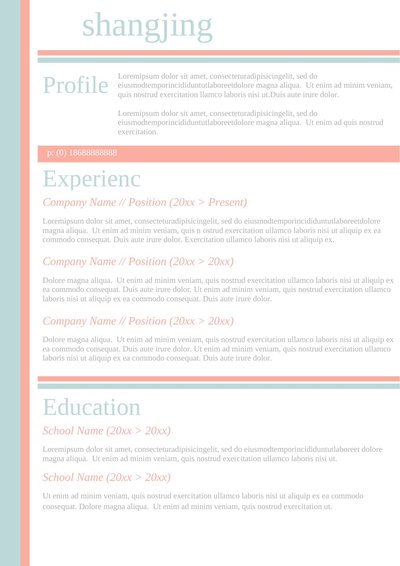 英文简历-双页25