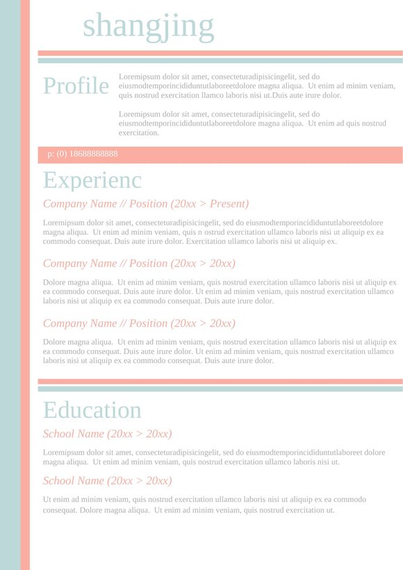 英文简历-双页25预览图