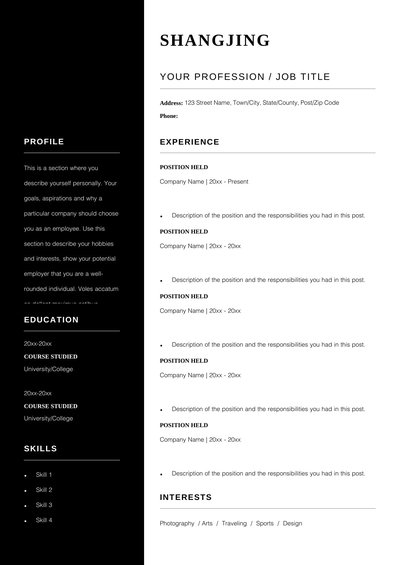 英文简历-双页27