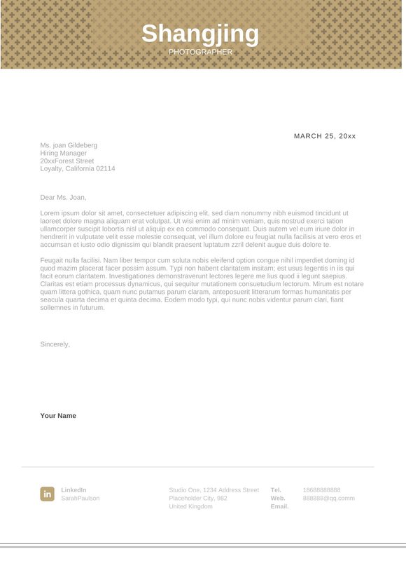 英文简历-双页33预览图